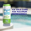 C2O - Coconut Water With Pulp - 16.3 Fl Oz (Pack Of 8) - 3 of 4
