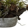 20" x 22" Artificial Orchid & Succulent Garden with Driftwood - Nearly Natural - image 3 of 3