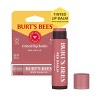 Burt's Bees Tinted Lip Balm - Red Dahlia - 0.15oz - 3 of 4