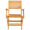 vidaXL Folding Garden Chair Set of 2 Natural Teak Solid teak wood - 4 of 4