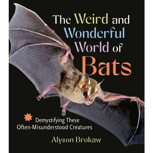 The Weird and Wonderful World of Bats - by  Alyson Brokaw (Paperback) - image 1 of 1