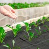Outsunny Weed Barrier Landscape Fabric Heavy Duty, 5oz Woven Weed Control Fabric for Landscaping - 2 of 4