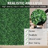 Dexmalle 12Pcs Artificial Peanut Leaf Hedges Panels - 3 of 4