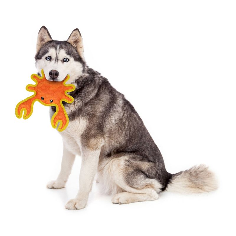 DuraForce Crab Dog Toy  - Orange, 5 of 11
