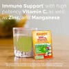 Emergen-C Winter Escapes Avalanche Vitamin Powder - Lemon Lime - 30ct - 3 of 4