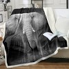 Boersma Elephant Plush Throw Blanket for Kids, Ultra Soft Fleece Blanket, Grey & Black Elephant Design - 3 of 4