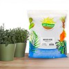 Soil Sunrise Indoor Herb Planter Potting Mix, for Container Gardening - 2 of 4
