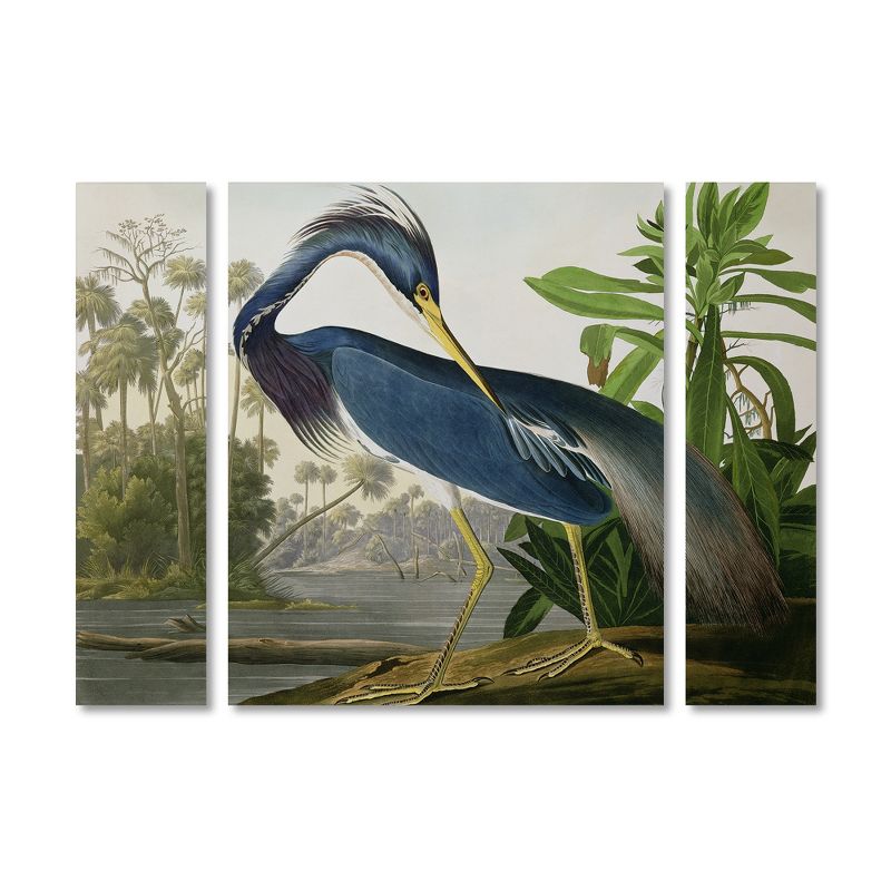 Trademark Fine Art - John James Audubon 'Louisiana Heron' Multi Panel Art Set Large, 1 of 4