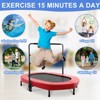 KRISRATE 56" Double Trampoline, Mini Fitness Rebounder with 5-Level Adjustable Handle, Parent-Child Trampoline, Max Load 220lbs, for Indoor/Outdoor - 4 of 4