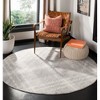 Adirondack ADR129 Non-Shedding Power Loomed Indoor Rugs - Safavieh - 2 of 3