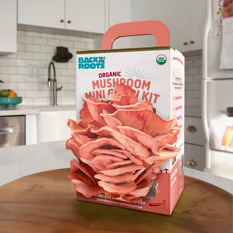 Back to the Roots Organic Mushroom Mini Grow Kit Pink Oyster, 6 of 12