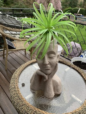 Guest review image 1 of 1, zoom in