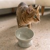 Dexypaws: Elevated Ceramic Bowl For Cats, Desert Green, 7oz Capacity - 3 of 4