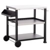 CAVINAS Grill Cart Stainless Steel Tabletop Outdoor Grill Table Multifunctional Outdoor Grill Cart Suitable for Outdoor Grilling - 2 of 4