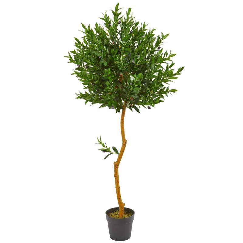 Nearly Natural 58-in Olive Topiary Artificial Tree UV Resistant (Indoor/Outdoor), 1 of 6
