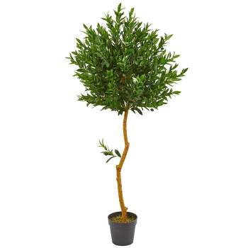 Nearly Natural 58-in Olive Topiary Artificial Tree UV Resistant (Indoor/Outdoor)