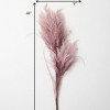 Sullivans Artificial Dried Reed Stem 48"H - 4 of 4