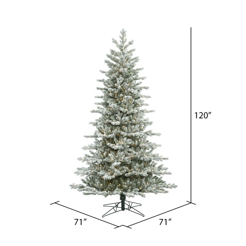 Vickerman Frosted Eastern Frasier Fir Artificial Christmas Tree, 3 of 6