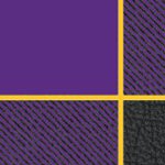 louisiana state university tigers