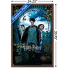 Trends International Harry Potter and the Prisoner of Azkaban - Sky One Sheet Framed Wall Poster Prints - 3 of 4
