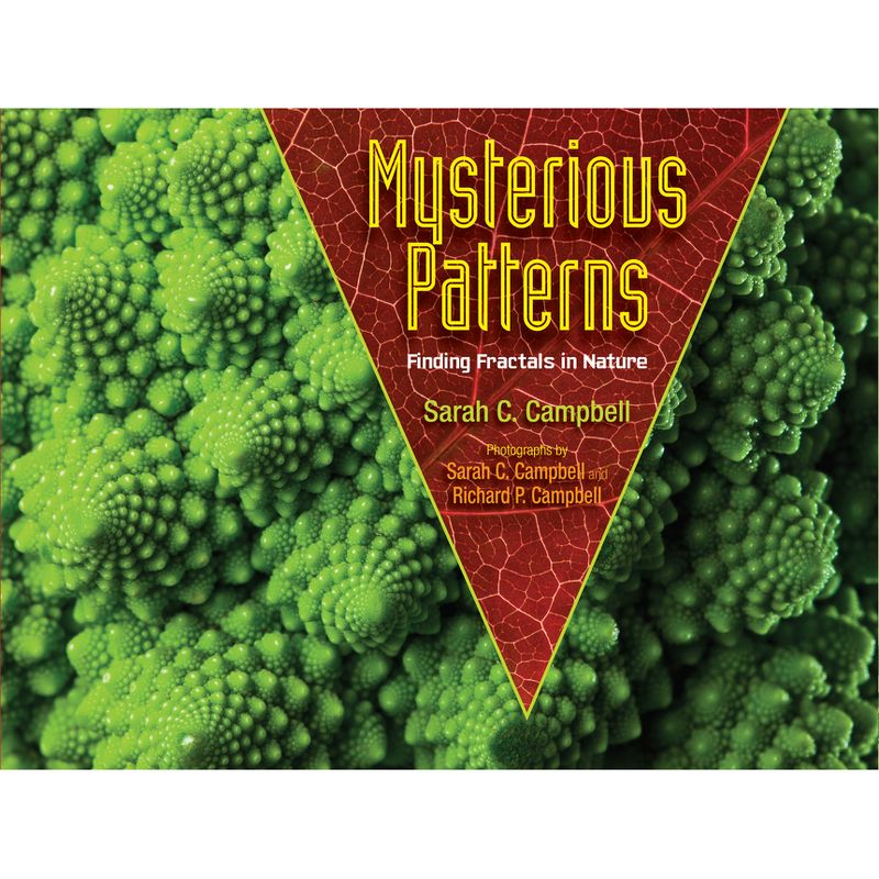 Mysterious Patterns - by  Sarah C Campbell (Paperback), 1 of 2