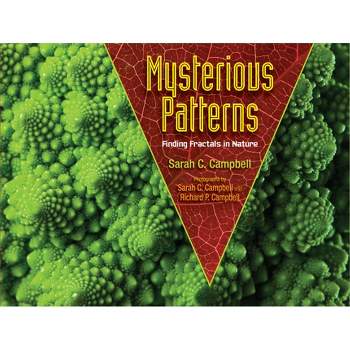 Mysterious Patterns - by  Sarah C Campbell (Paperback)