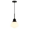Hudson and Canal 8.12" Wide Pendant with Glass Shade - 3 of 4