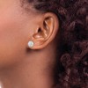 Black Bow Jewelry 8mm Crystal Ball Earrings with a 14k Yellow Gold Post - 3 of 4
