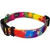 Country Brook Petz Deluxe Dog Collar - Groovy Collection - 4 of 4