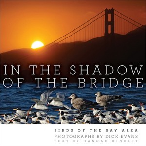 In the Shadow of the Bridge - by  Dick Evans (Hardcover) - 1 of 1
