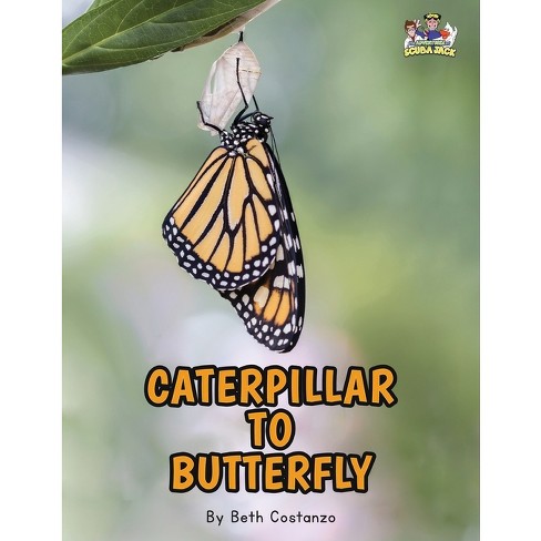 monarch butterfly letters