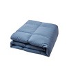 Beautyrest Microfiber Feather and Down Blend All Season Comforter - 2 of 4