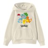 Seven Times Six Pokemon Hoodie Boys' Friends Group Design Pullover Sweatshirt Brown - 2 of 4