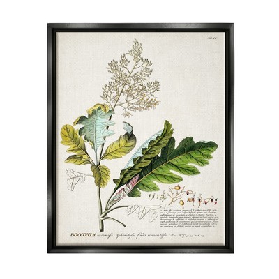 Stupell Industries Botanical Plant Illustration Leaves Vintage Design
