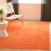 Vision VSN606 Area Rug  - Safavieh - 2 of 4