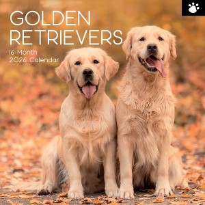 2026 Square Wall Calendar, Golden Retrievers, 16-Month Paw Prints Theme with 180 Reminder Stickers (12x12 In) - 1 of 4
