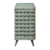 Treasure Trove Accents 2 Door Cabinet Riverdale Textured Green: Rustic Style, Lattice Door Fronts, Iron Feet, Adjustable Shelf - 3 of 4