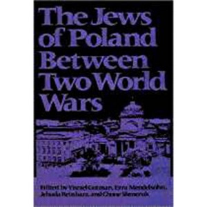 The Jews of Poland Between Two World Wars - (Tauber Institute Series for the Study of European Jewry) by  Yisrael Gutman (Paperback) - 1 of 1
