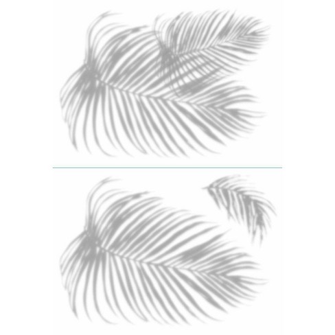 Palm Shadow L And Stick Giant Wall Decal Roommates Target - Black And White Wall Decals Ocean