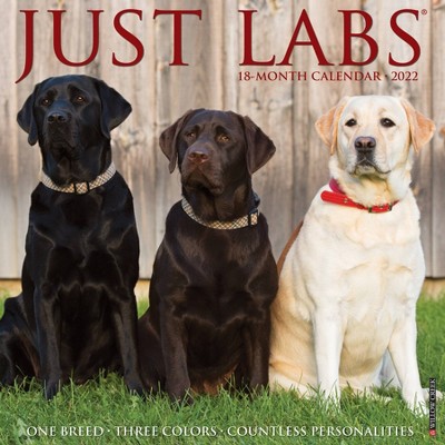 2022 Wall Calendar Just Labs - Willow Creek Press