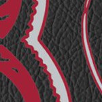 alabama crimson tide