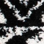 black/ivory