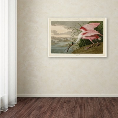 John James Audubon Roseate Spoonbill Pink Canvas Art 16'' x 24''