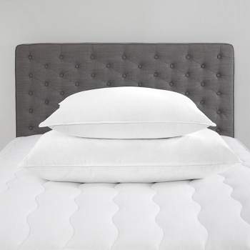 Firm Down Alternative Pillow (chamberfirm) Set Of 2, White, Standard ...