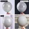 PartyWoo Balloons Gray Matte 18 12 10 5 Inch 100 pcs - 3 of 4