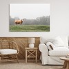 Stupell Industries Highland Grace Cattle Canvas Art - 3 of 4