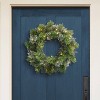 Puleo 24" Pre-Lit Artificial Oklahoma Pine Wreath with LED Lights - 2 of 4