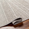 Hauteloom Corom Beige Area Rug - 4 of 4