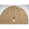 George Kovacs Lighting Entwined 1 - Light Pendant in  Coal - 3 of 4