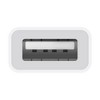 Apple Usb-c To Usb Adapter - 6.1in : Target